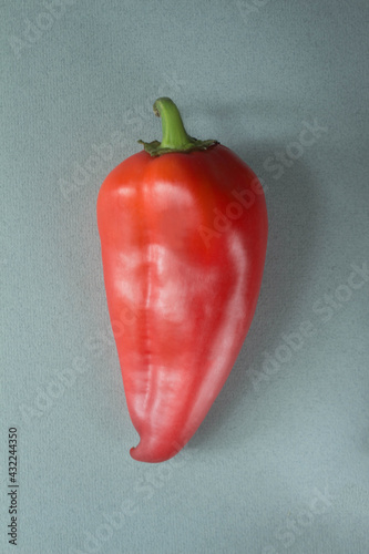 red bell pepper on grey background. High quality photo