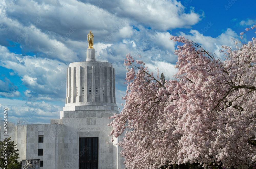 The Oregon State Capitol building and a flowering cherry tree, Salem Oregon The Oregon State Capitol building and a flowering cherry tree, Salem Oregon