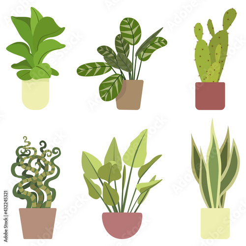 Vector set of green home plants