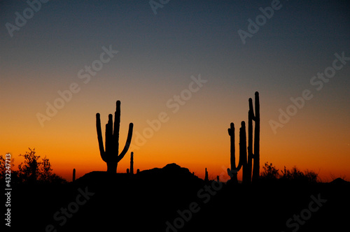 Arizona Sunset
