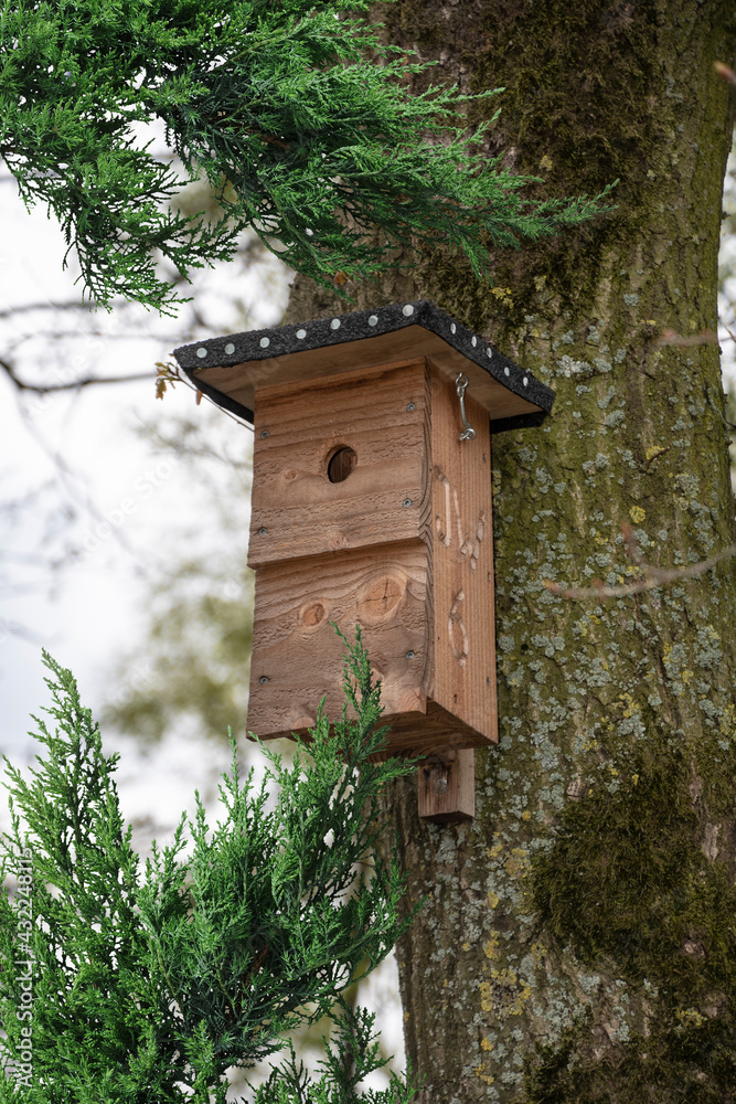 Bird house on pole. Birds nest to protect birds raising their nestlings