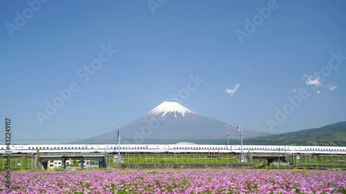 春の富士山 photo