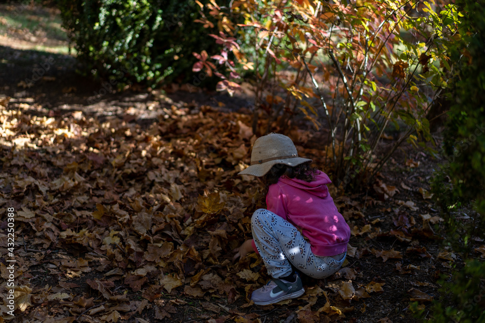 child collecting autumn leaves in park child collecting autumn leaves in park
