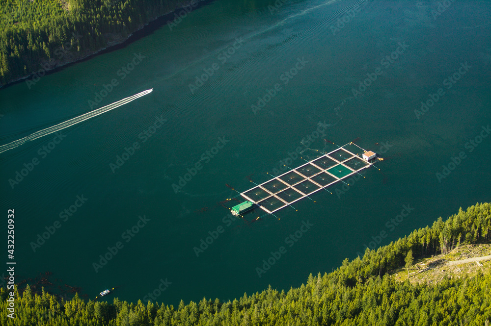 Aerial View of Fish Farming British Columbia, Canada