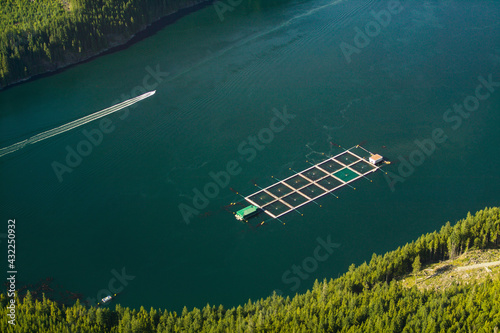 Aerial View of Fish Farming British Columbia, Canada