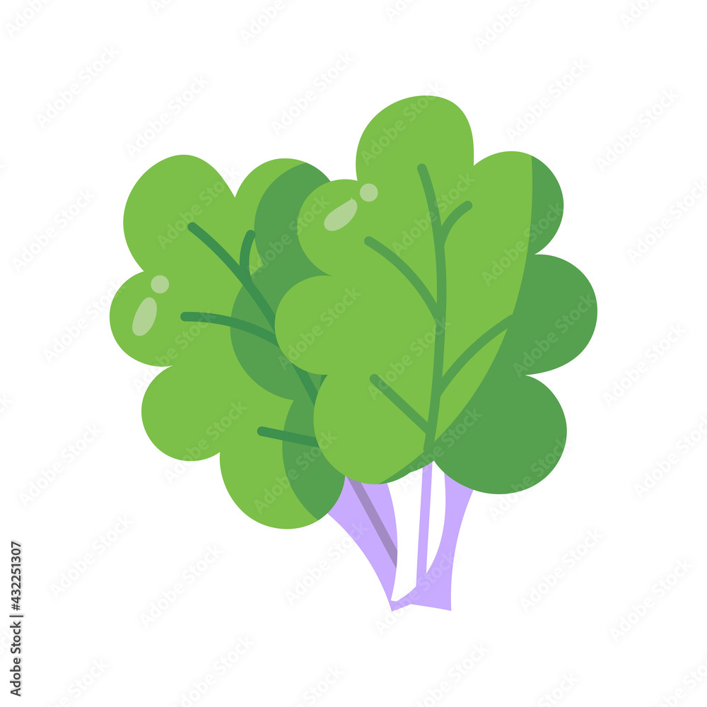 Isolated colored tree leaf icon Isolated colored tree leaf icon