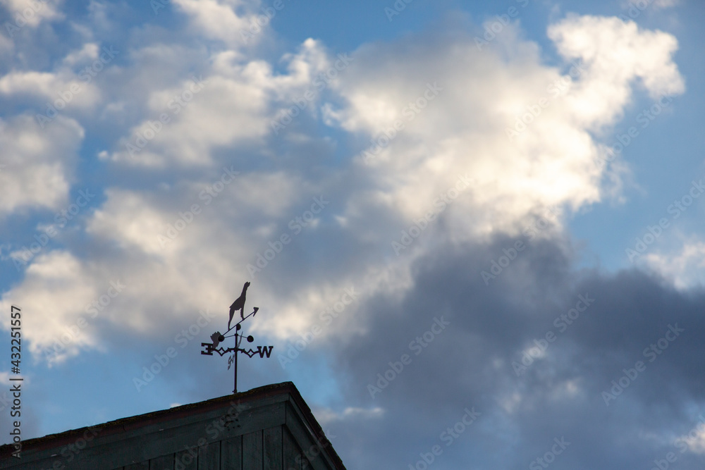 Weathervane on cold stormy day