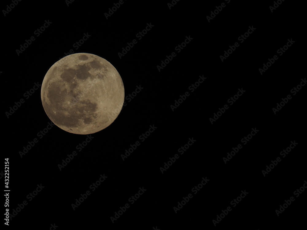 pink moon of springtime