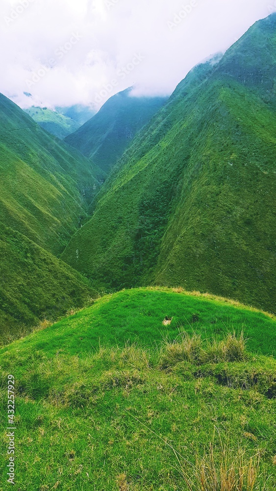 Fototapeta premium beauty mountain