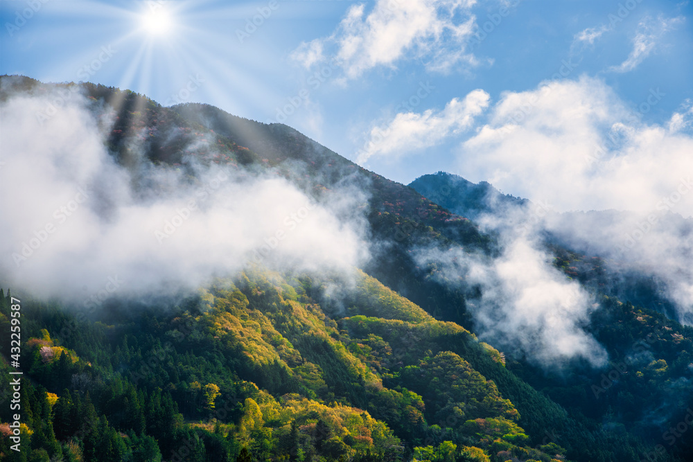 雨上がりの山 太陽光 雨上がりの山 太陽光