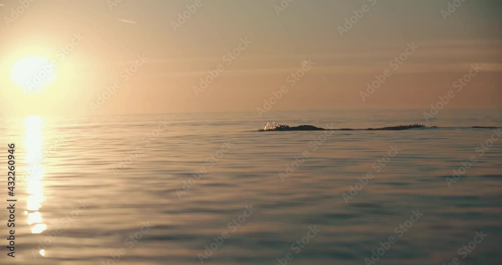 swimmer swimming in ocean sunset wetsuite slowmotion outdoors sports backlight 4k swimmer swimming in ocean sunset wetsuite slowmotion outdoors sports backlight 4k