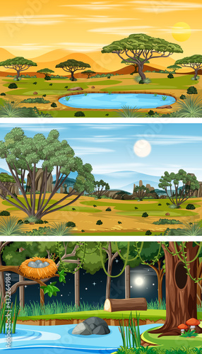 Different types of forest horizontal scenes