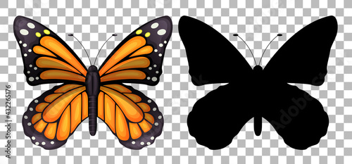 Butterfly and its silhouette on transparent background