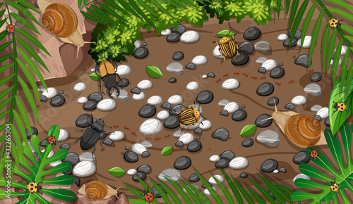 Top view of different types of insect in the garden