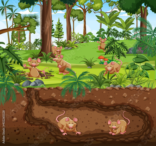 Underground animal burrow with rat family