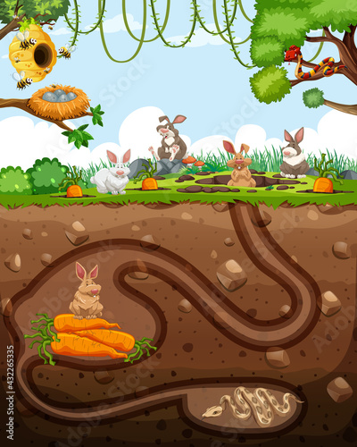 Underground animal burrow with rabbit family