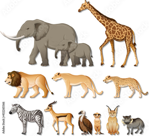 Set of isolated wild african animals on white background