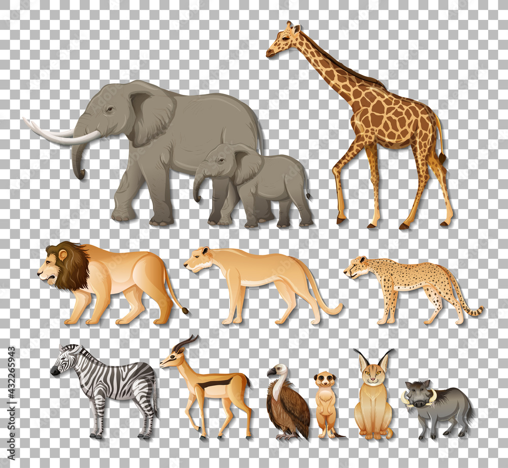 Obraz premium Set of isolated wild african animals on transparent background
