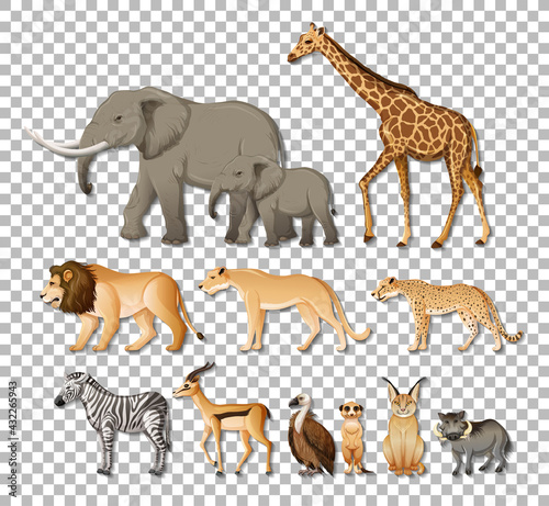 Set of isolated wild african animals on transparent background