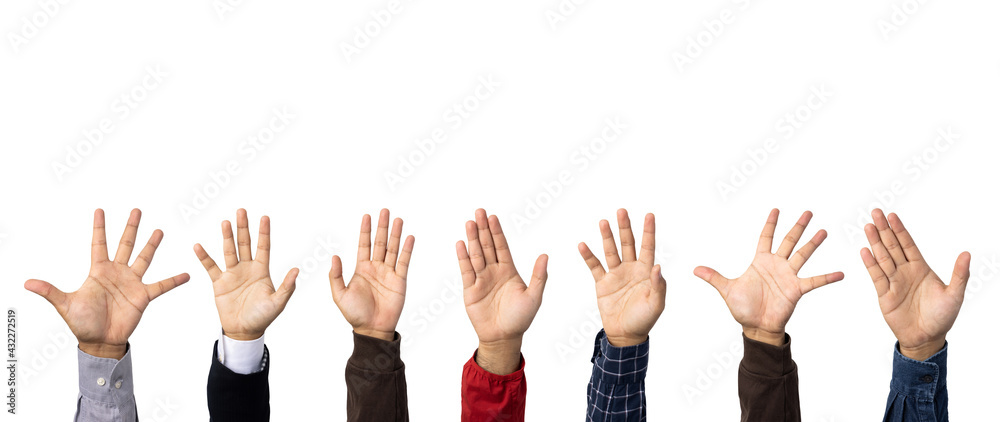 A lot of hand raised up to the air isolated white background. Raise your hand to vote for the majority of votes Election of the leader of the country.