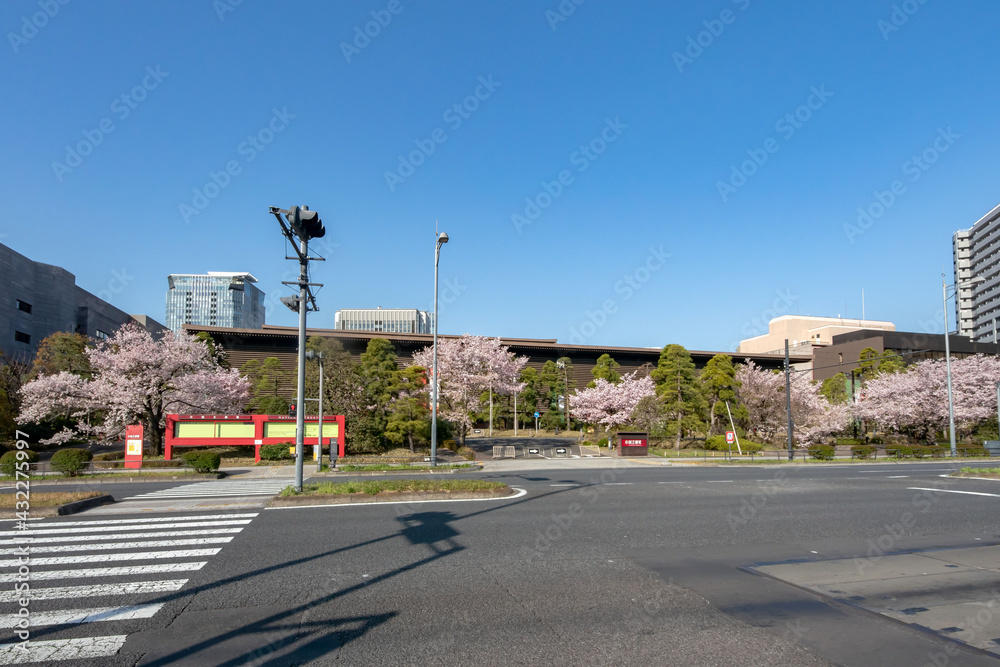 東京都千代田区隼町の国立劇場と内堀通りの満開の桜並木