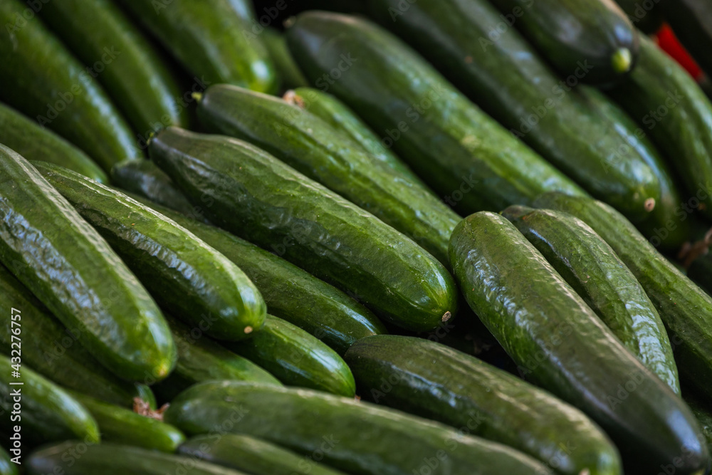 Fresh organic green cucumbers on fresh market, background. Сucumbers texture . A lot of organic сucumbers root Fresh organic green cucumbers on fresh market, background. Сucumbers texture . A lot of organic сucumbers root