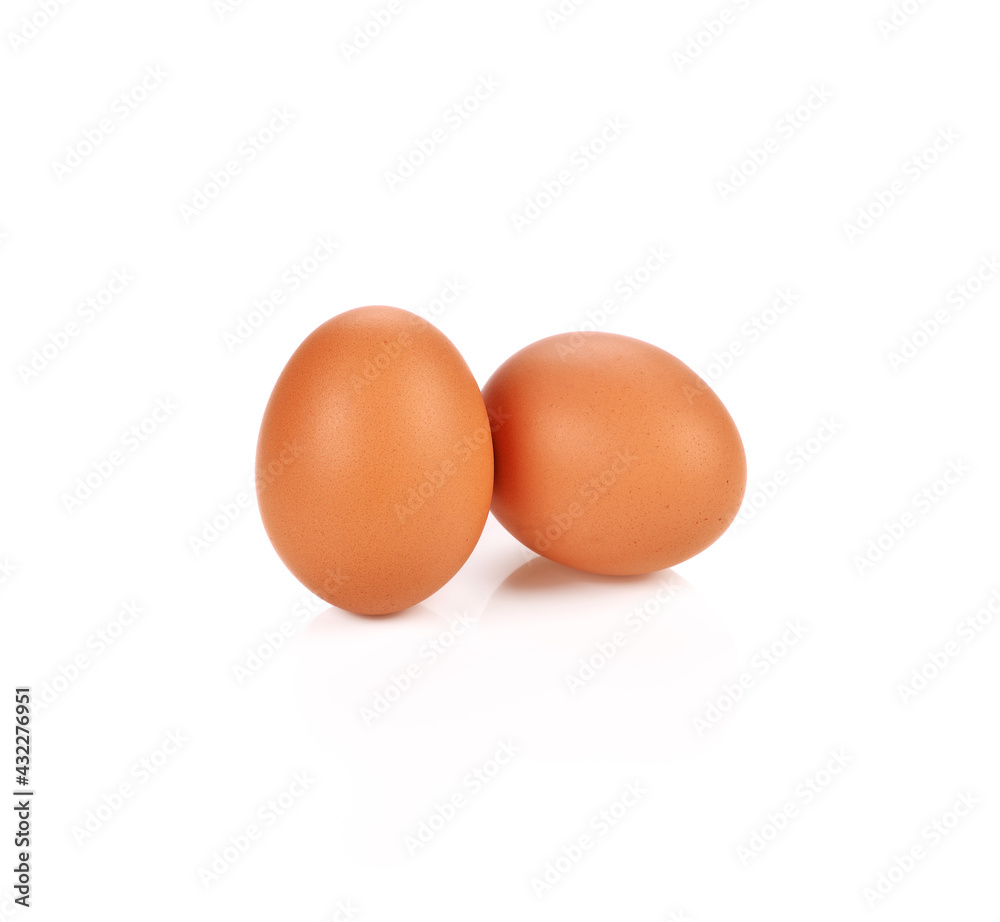 chicken egg isolated on white background chicken egg isolated on white background