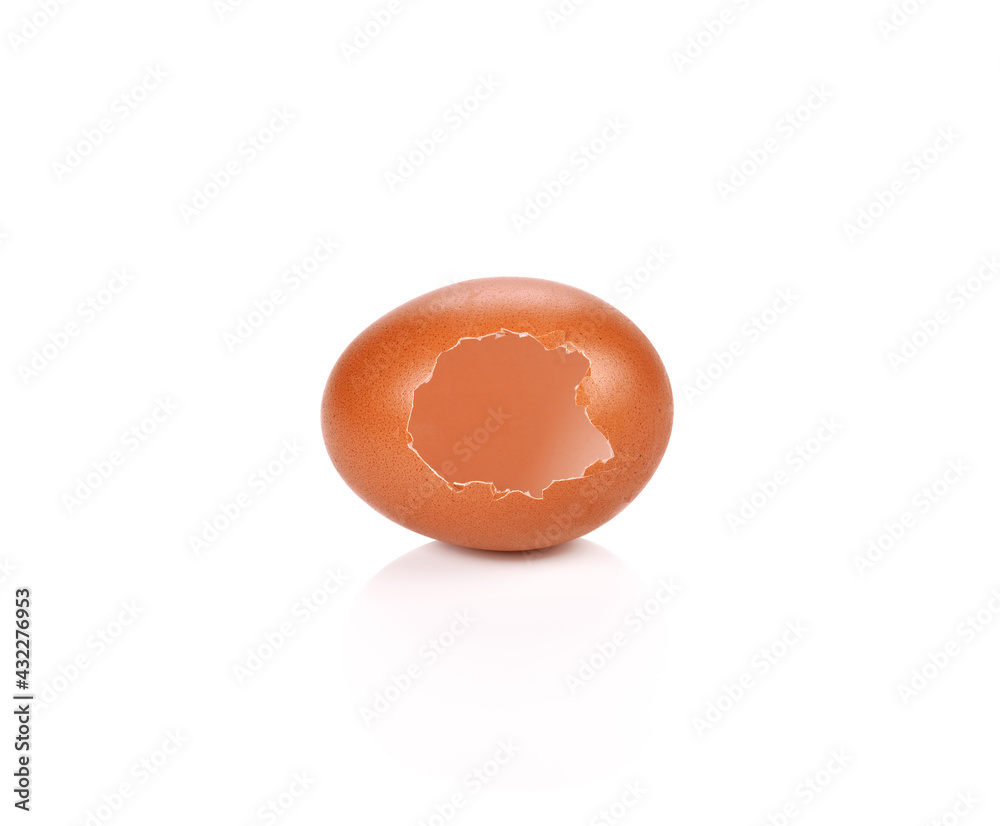 chicken egg isolated on white background chicken egg isolated on white background
