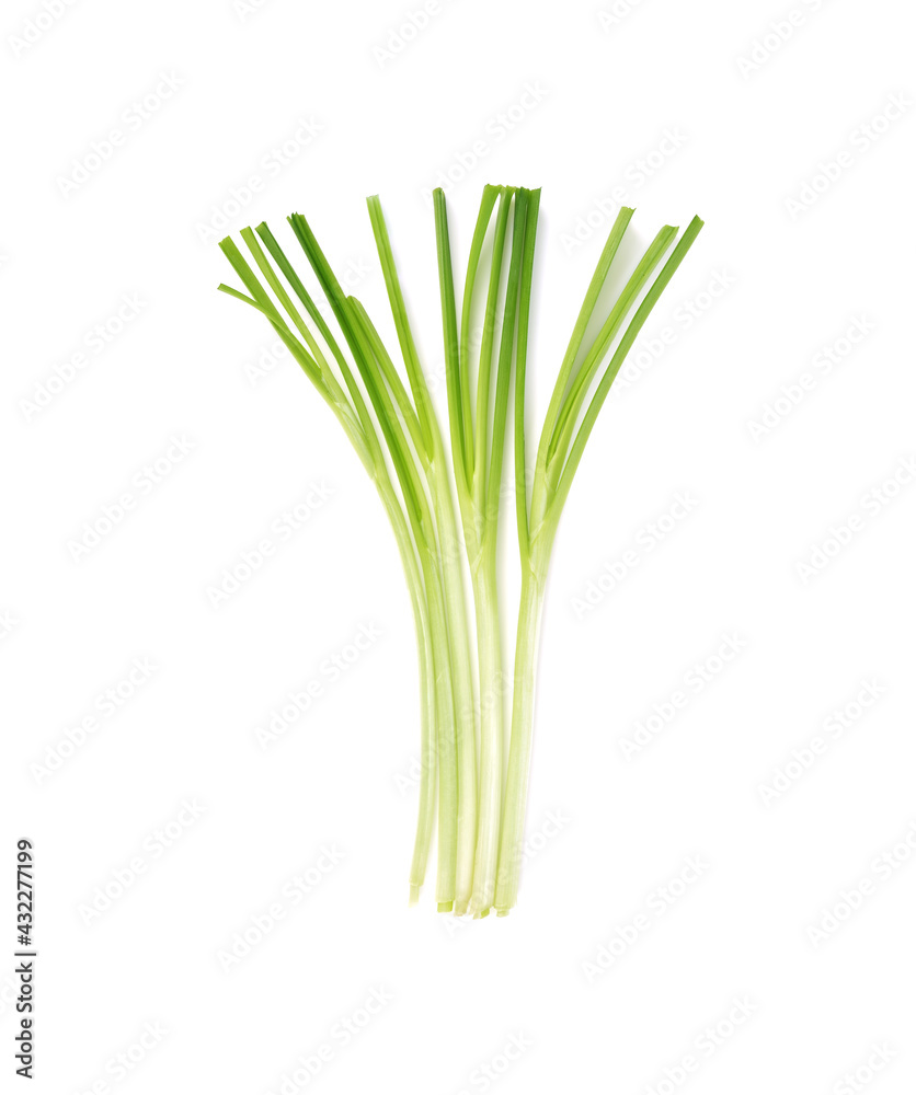 Green onion isolated on the white background Green onion isolated on the white background