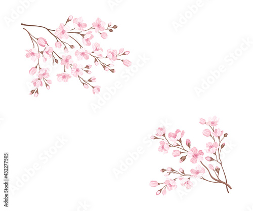 Twigs of Sakura or Cherry Blossom Arranged in Corners Vector Illustration