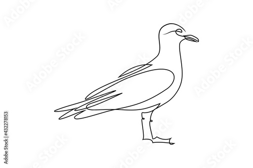 Seagull in continuous line art drawing style. Gull bird standing black linear sketch isolated on white background. Vector illustration