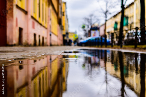 Rainy day in the big city, the sidewalk with trees. Close up view from the level of the puddle on the sidewalk © Georgii Shipin