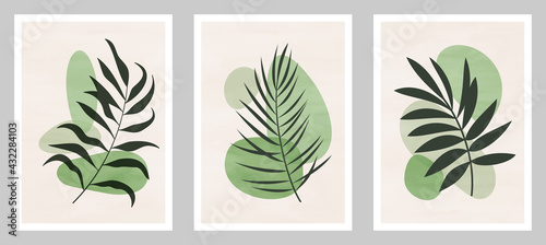 Set of abstract art nature backgrounds. Modern shape line art,  foliage, botanical, tropical leaves floral design for cover, wallpaper,  home decoration, wall art.