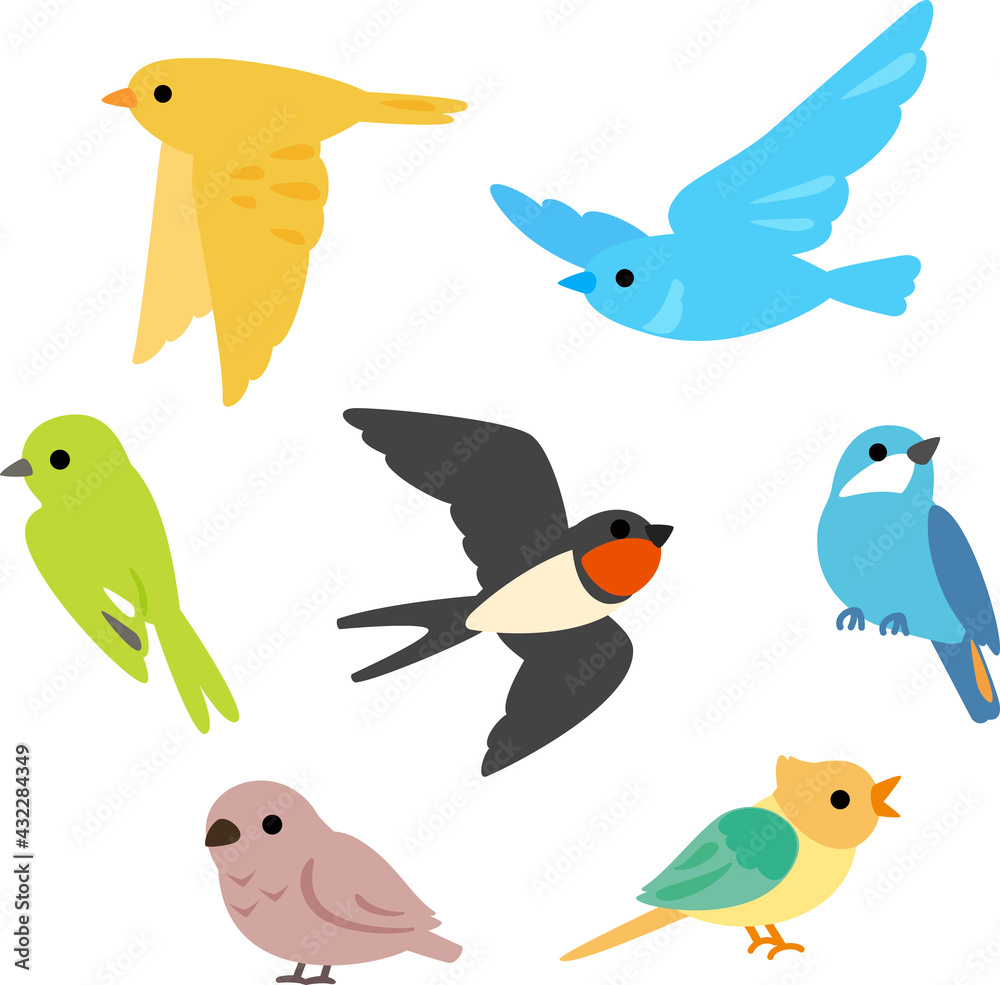 カラフルな小鳥のイラストセット Stock Vector Adobe Stock