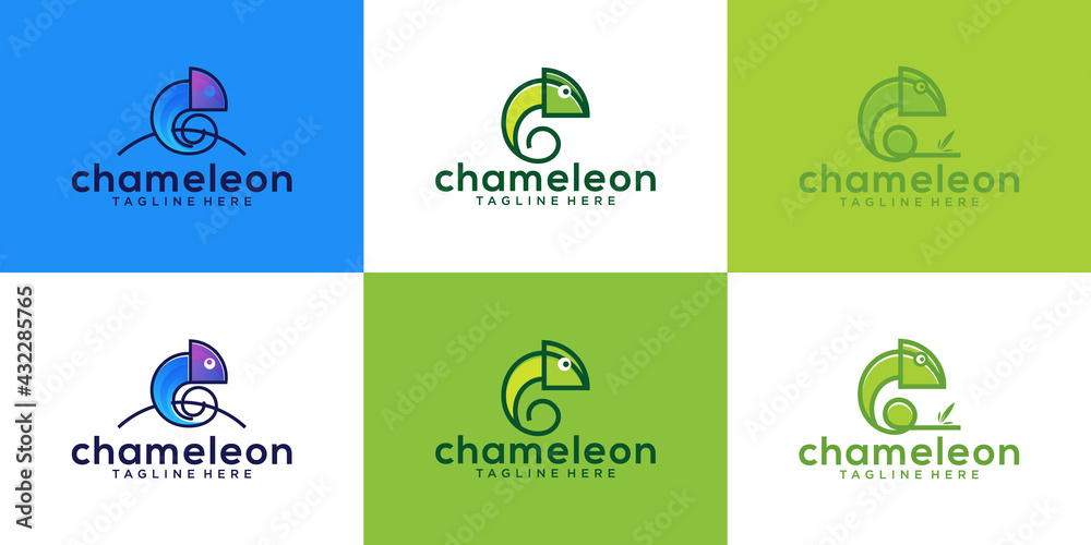 Fototapeta a collection of chameleon animal designs with modern line art styles and colors