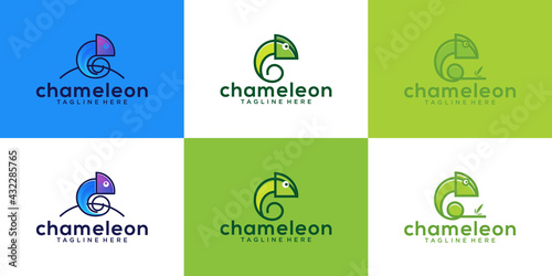 a collection of chameleon animal designs with modern line art styles and colors
