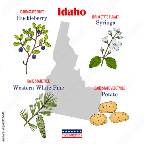 Idaho. Set of USA official state symbols
