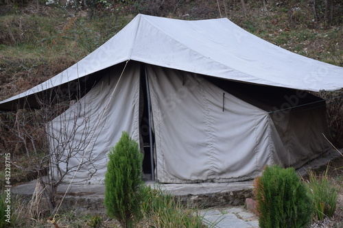 Picture of a camp in resort and small green tree in picture. Selective focus, Selective Focus On Subject, Background Blur