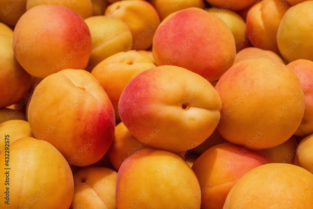 Background / texture of juicy, fresh apricots. Ripe apricots (Latin: Prunus armeniaca), close-up. Background / texture of juicy, fresh apricots. Ripe apricots (Latin: Prunus armeniaca), close-up.