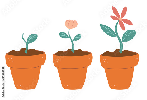 Process of flower growth. Vector image of three stages of growth of a beautiful flower in a brown pot. Plant growing stages. Harvest, product, offspring. Growing process vector flat icon.