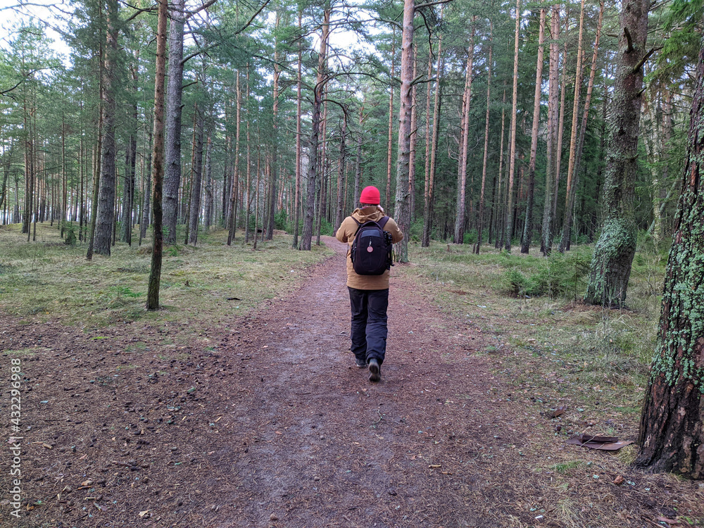 Obraz premium young man photographing forest in spring back view