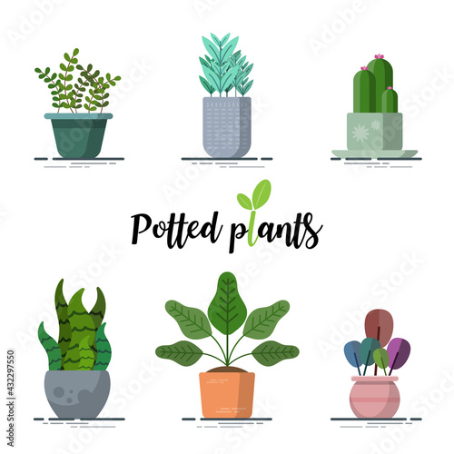 Collection of Colorful Potted plants in flat design