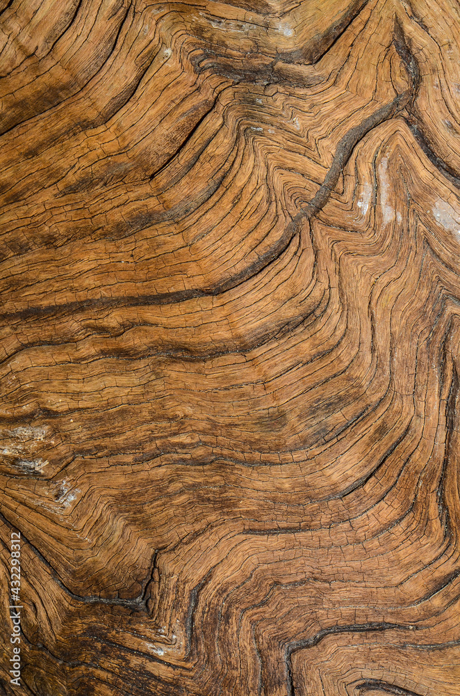 Naklejka premium Tropical hardwood and textured background / Hardwood Grain / Mankind most valuable and sustainable resources