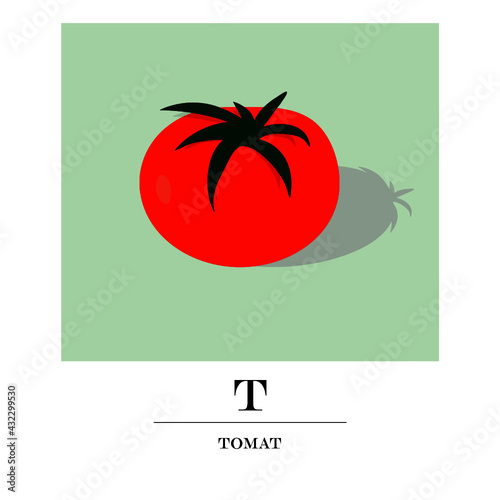 illustration of a tomato