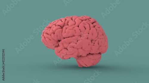 Pink human brain side view isolated on blue background 3d render image