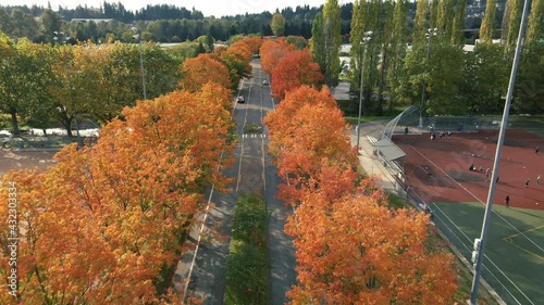 Drone Flying Over Road Lined with Fall Trees and Car Passing Baseball Field photo