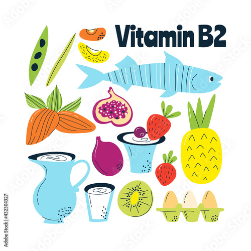 The main food sources of vitamin B2. Healthy food concept.