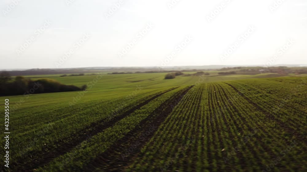 Cinematic spring nature of green countryside. Sunny morning in the country. Aerial drone views of rural farmland field. Springtime. Cinematic spring nature of green countryside. Sunny morning in the country. Aerial drone views of rural farmland field. Springtime.