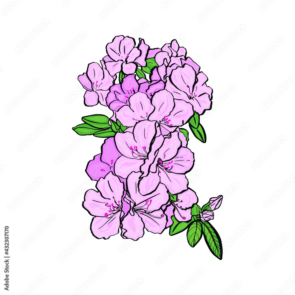 Vector illustration of flowers. Tropical flowers on a white background as a blank for designers for a wedding, logo, icon, sticker