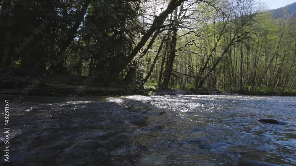 River in the Green Rain Forest during a sunny spring day. Located in Squamish Valley, North of Vancouver, British Columbia, Canada. Slow Motion River in the Green Rain Forest during a sunny spring day. Located in Squamish Valley, North of Vancouver, British Columbia, Canada. Slow Motion